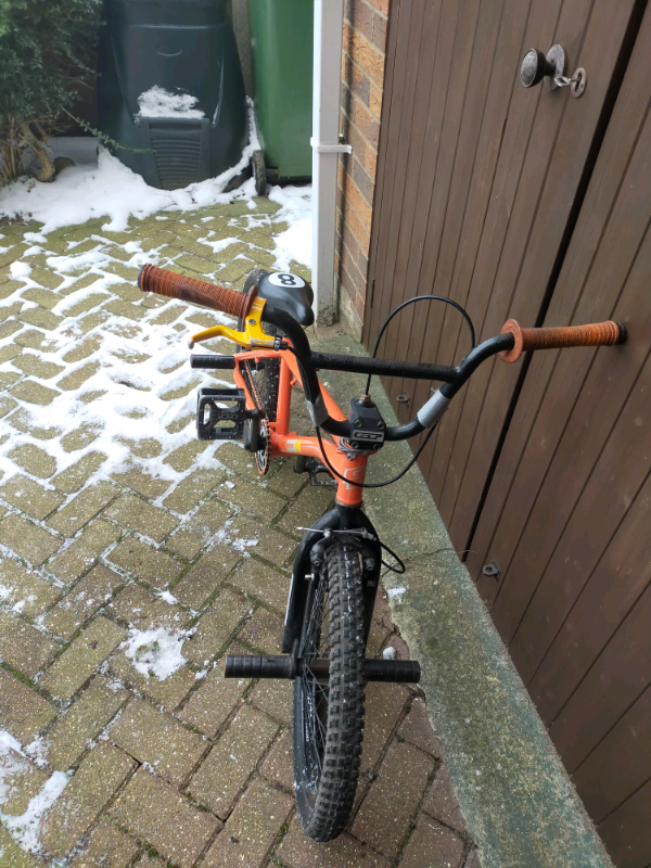 GT performer with 4 stunt pegs | in 
